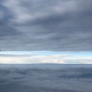 Meet your Posher, Judy